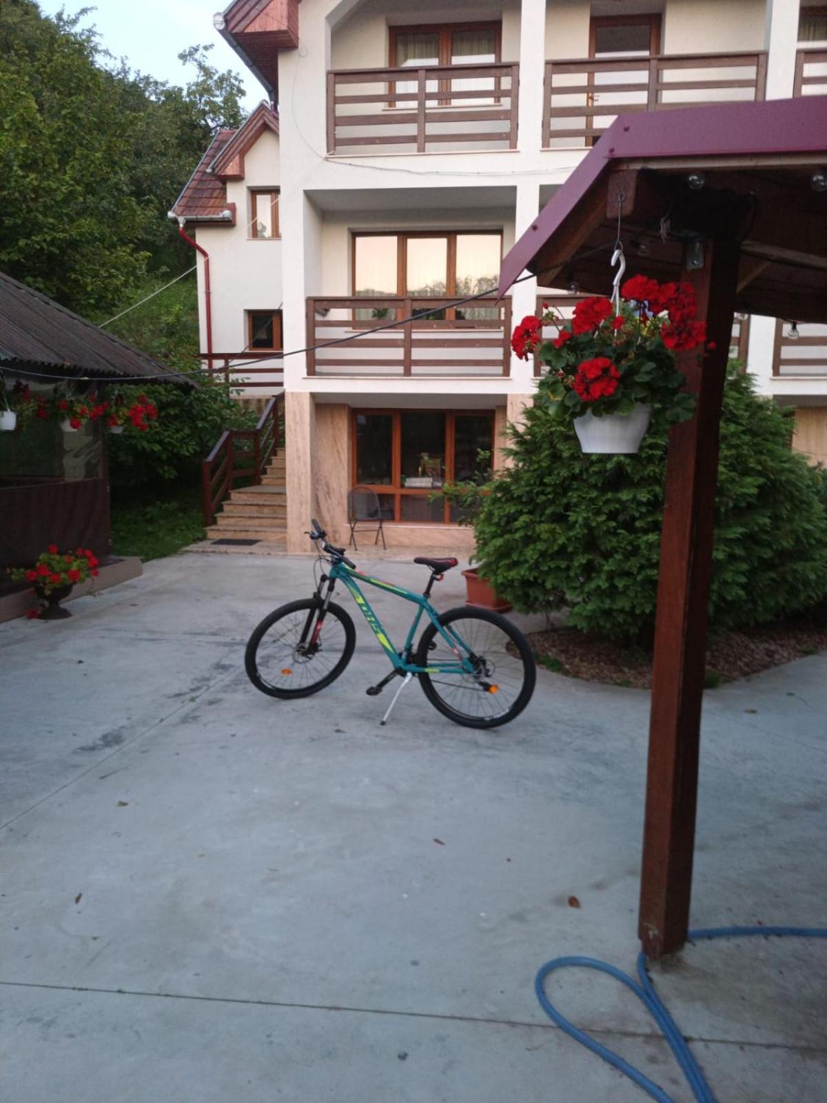 Pensiunea Valea Toplitei Rosia Exterior foto