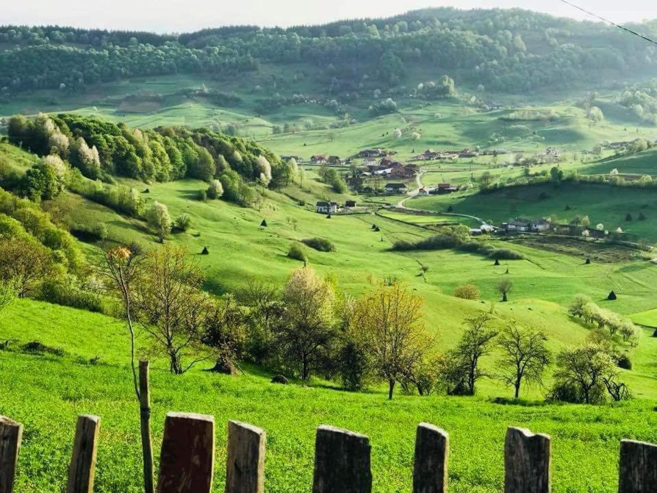 Pensiunea Valea Toplitei Rosia Exterior foto