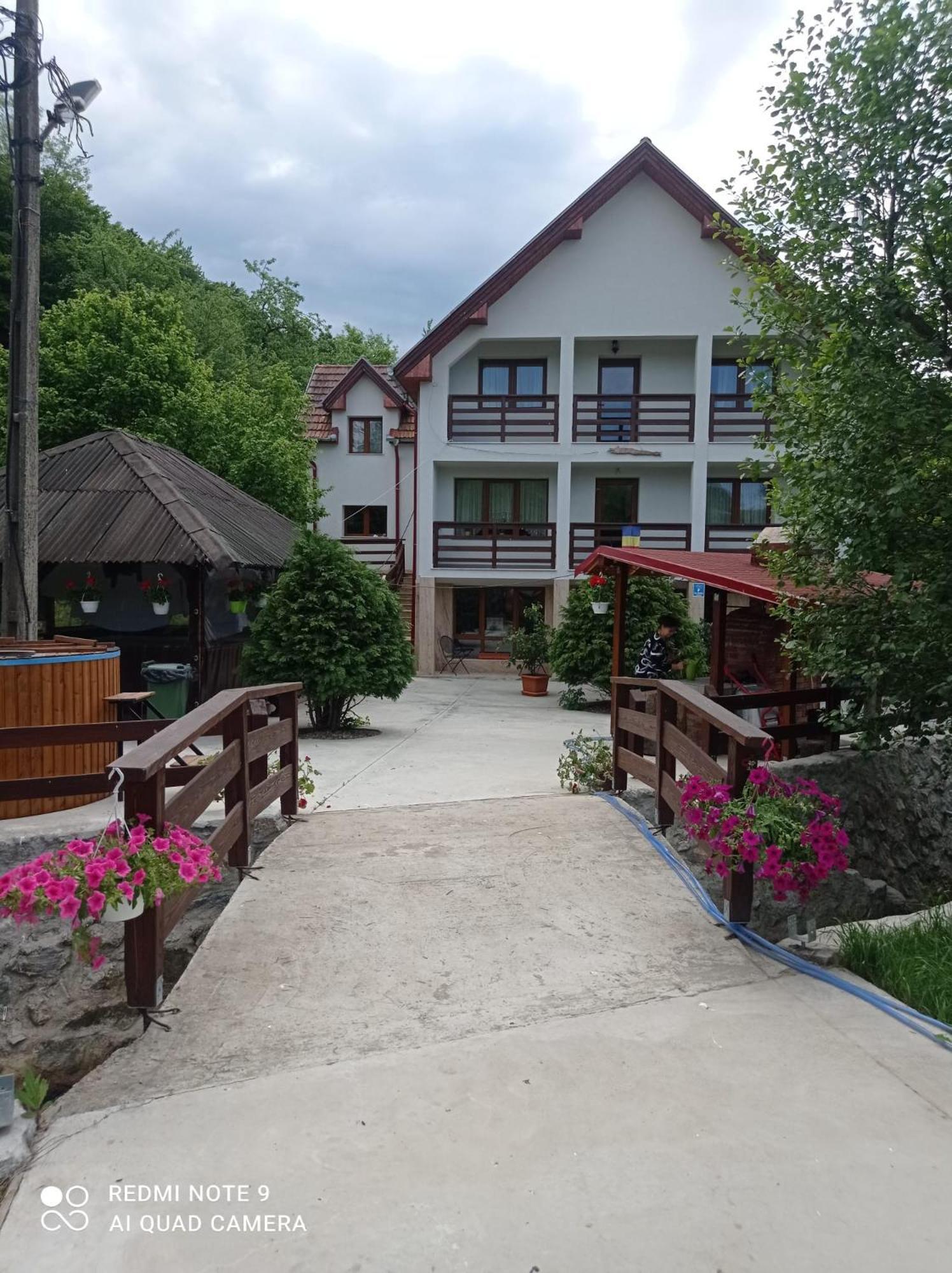 Pensiunea Valea Toplitei Rosia Exterior foto